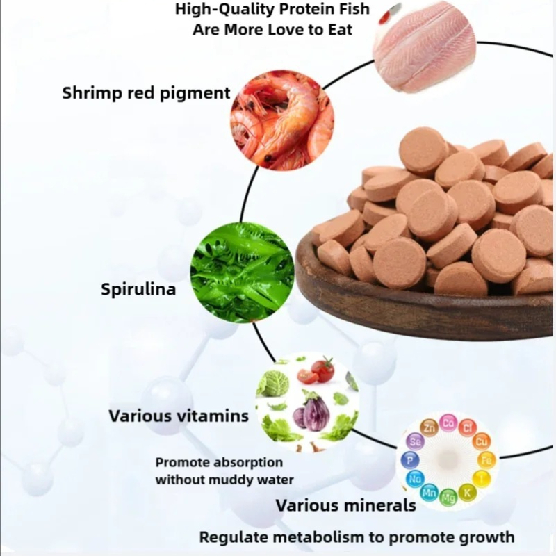 طعام الأسماك الصغيرة من بينيسو - مراجعة Food Protein Snacks وسعره